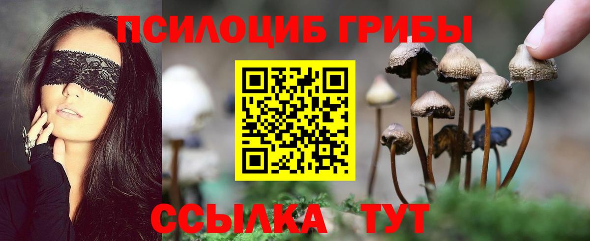 Псилоцибиновые грибы Cubensis Новоуральск